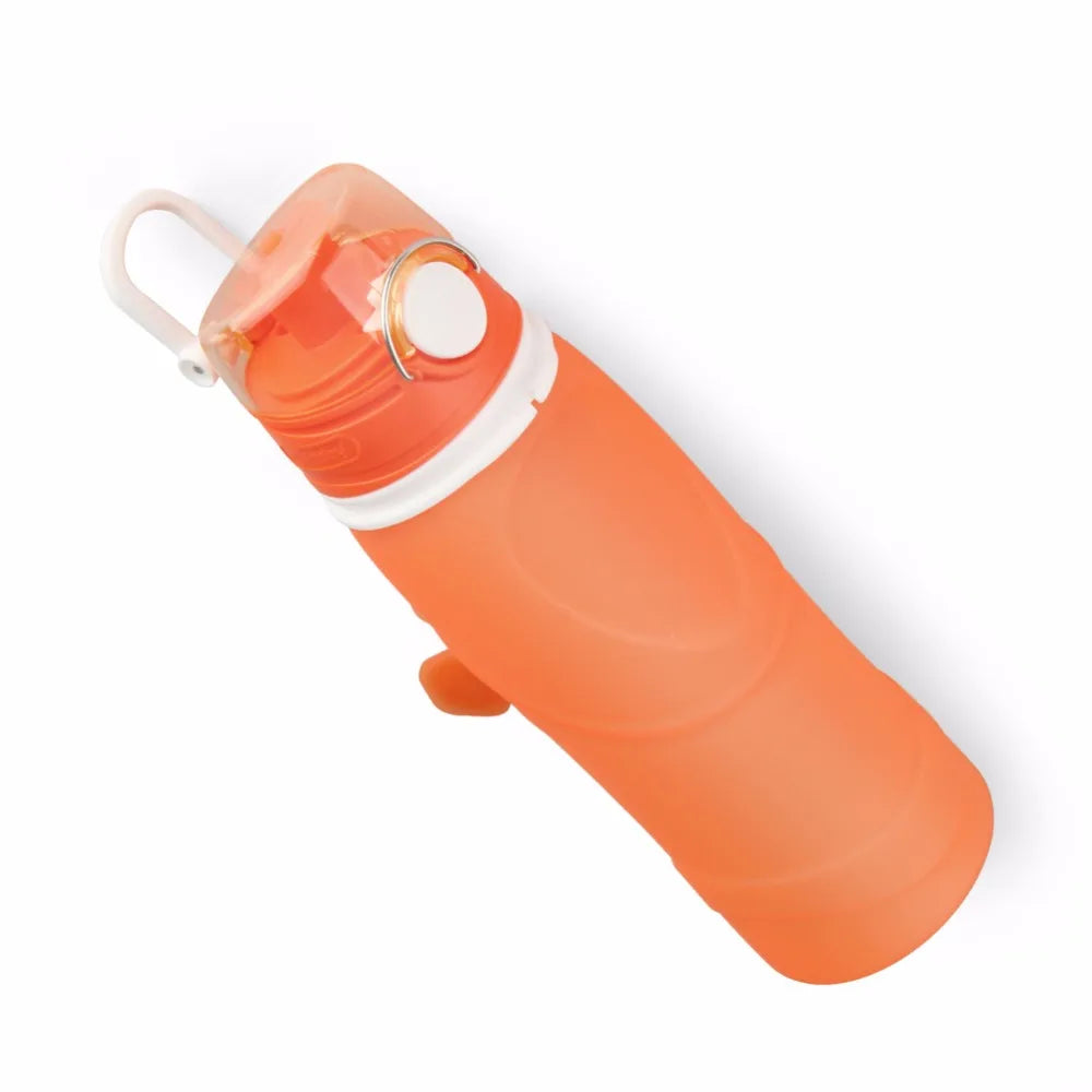 Collapsible Water Bottle (750ml)