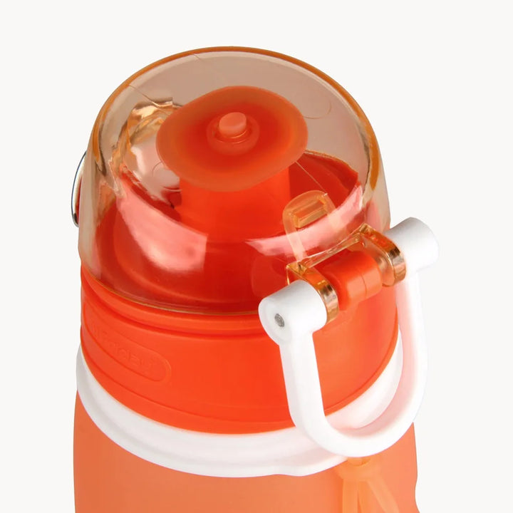 Collapsible Water Bottle (750ml)