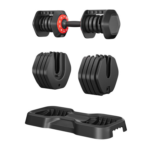 Adjustable Dumbbell Set for Men and Women, 10 in 1, Free Black Dumbbell Rotating Handle for Quick Adjustment (10 gears/55 pounds